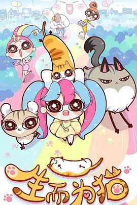 德州网站seo优化工具